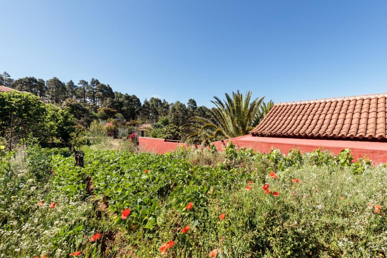 Casa Buganvillas, Reformado Puntagorda Dış mekan fotoğraf